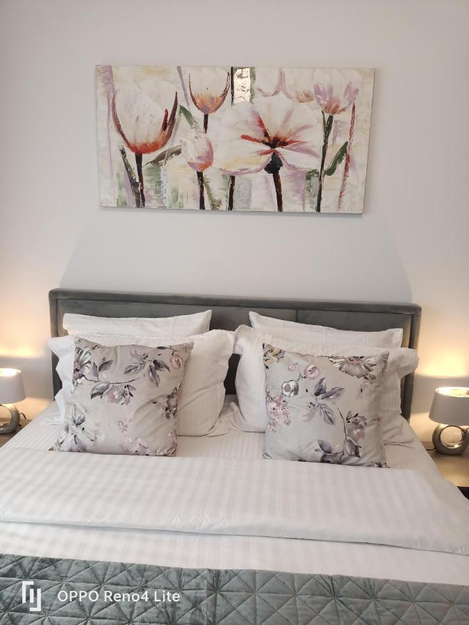 D&N Relax Apartment Braşov Eksteriør billede