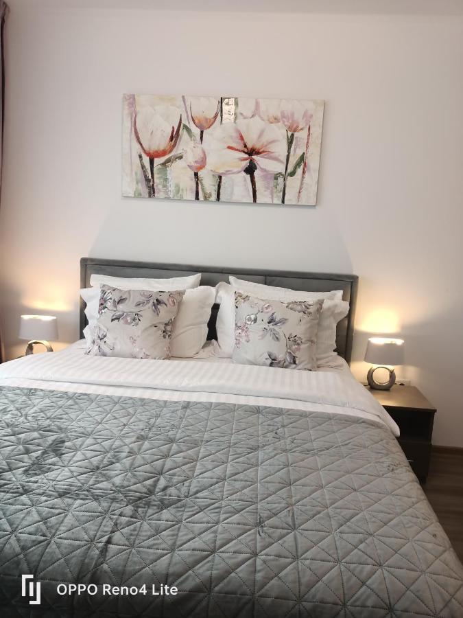 D&N Relax Apartment Braşov Eksteriør billede